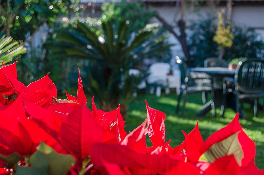 House Etna View